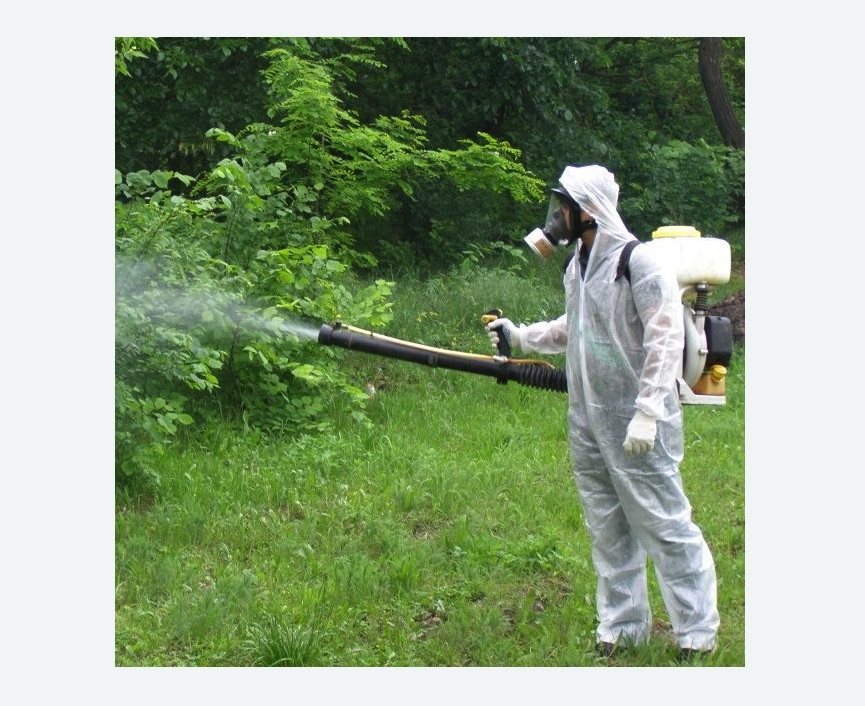 обработка территории от клещей в Зеленоградске