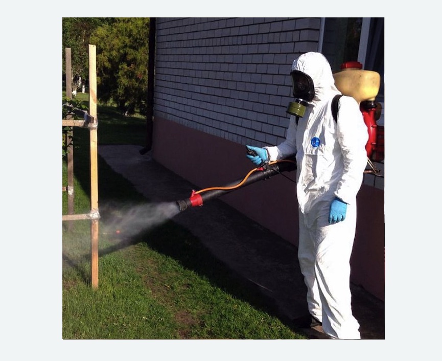 травля клещей на участке в Зеленоградске