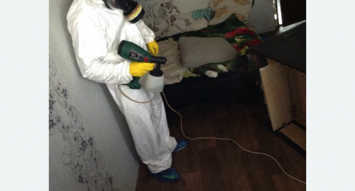 Обработка квартир от насекомых в Зеленоградске