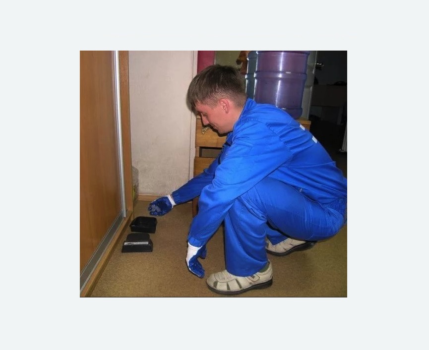 Дератизация крыс в Зеленоградске