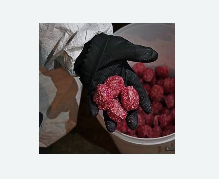 Обработка от крыс в Зеленоградске