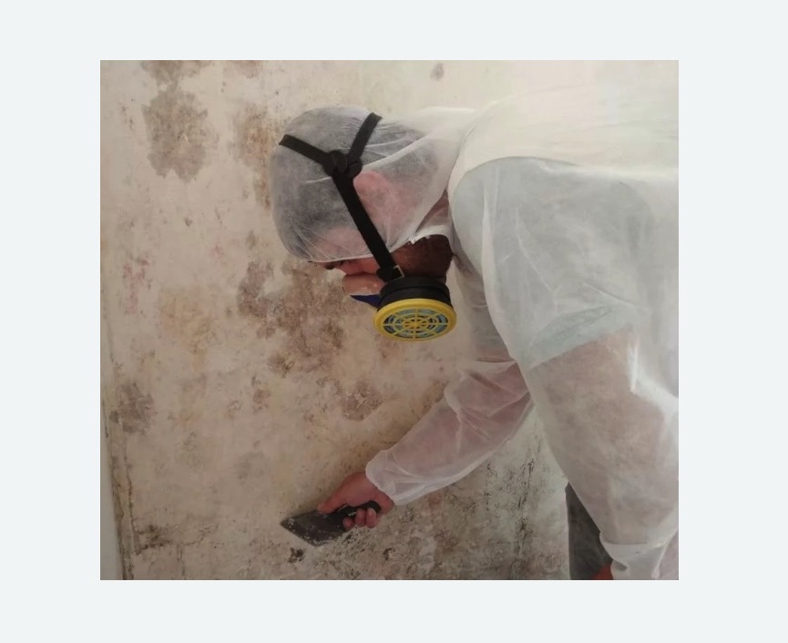 Обработка стен от плесени Обработка стен от плесени в Зеленоградске