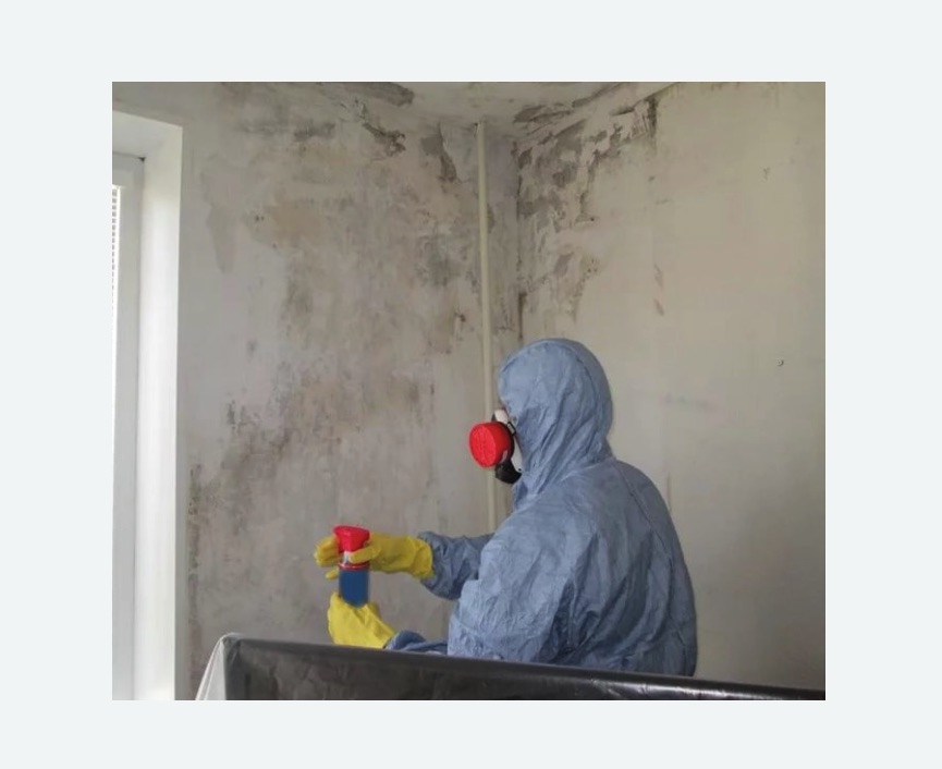 Удаление плесени в квартире Удаление плесени в квартире в Зеленоградске