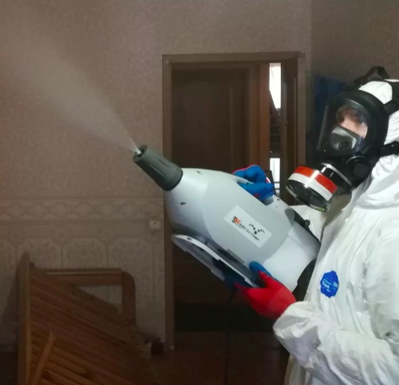 дезинсекция помещения в Зеленоградске