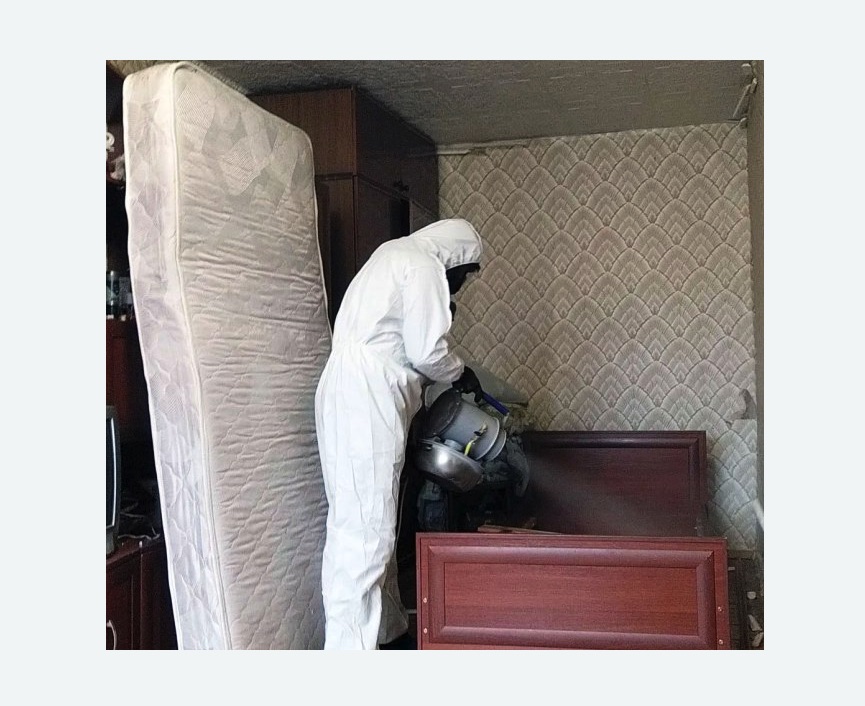 дезинфекция от клопов в Зеленоградске