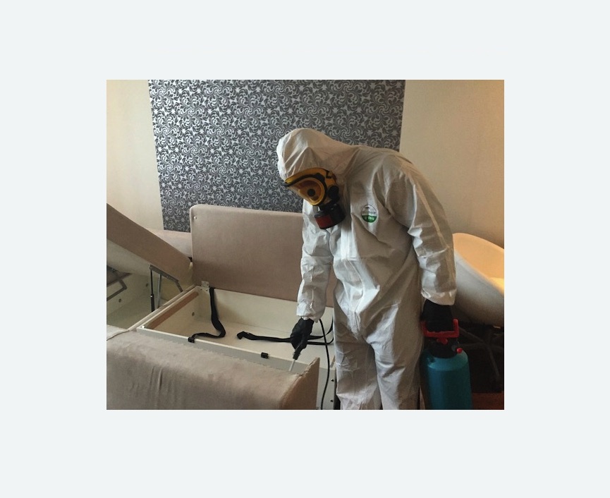 уничтожение клопов в квартире в Зеленоградске