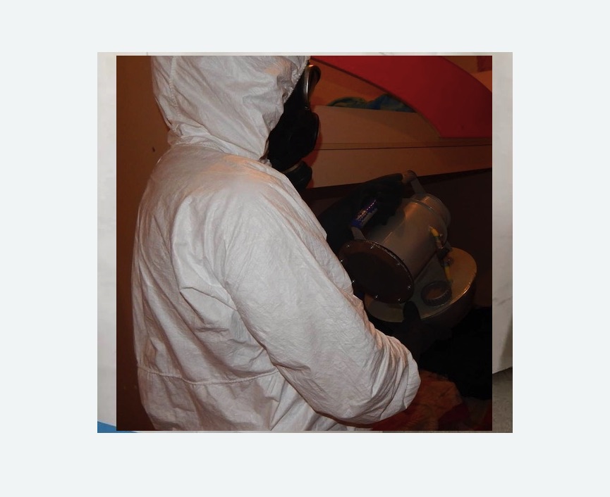 Дезинфекция от муравьев в Зеленоградске