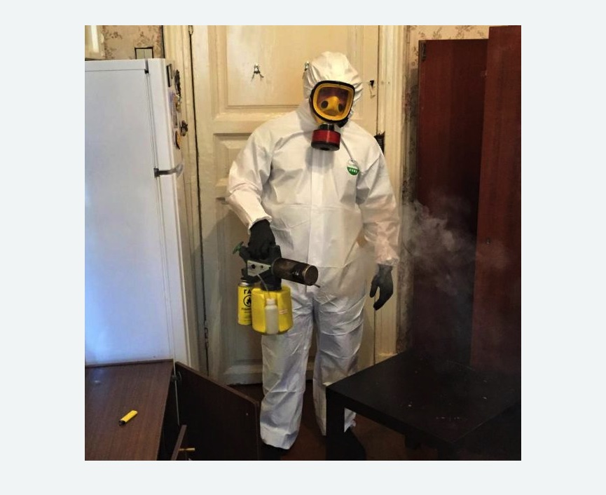 уничтожение муравьев в квартире в Зеленоградске